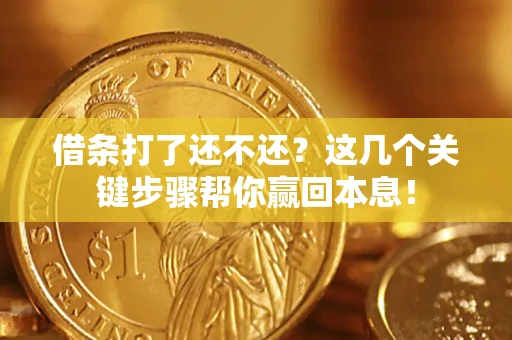 武汉借条打了还不还？这几个关键步骤帮你赢回本息！