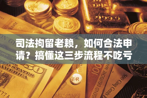 武汉司法拘留老赖，如何合法申请？搞懂这三步流程不吃亏！