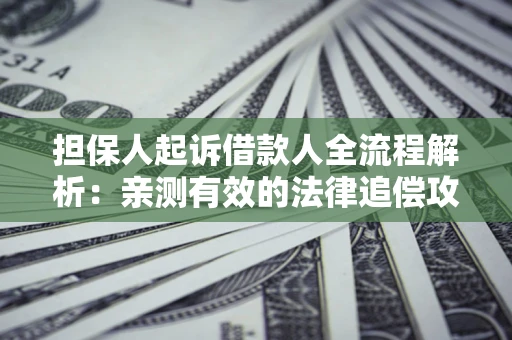 武汉担保人起诉借款人全流程解析：亲测有效的法律追偿攻略