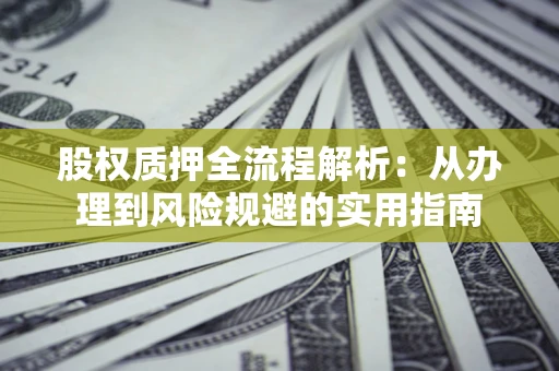 武汉股权质押全流程解析：从办理到风险规避的实用指南