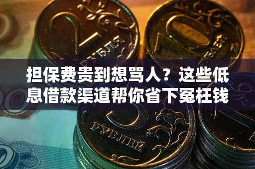 武汉担保费贵到想骂人？这些低息借款渠道帮你省下冤枉钱