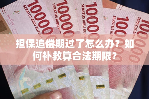 武汉担保追偿期过了怎么办？如何补救算合法期限？