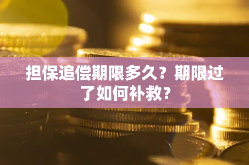 武汉担保追偿期限多久？期限过了如何补救？