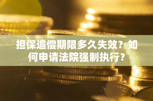 武汉担保追偿期限多久失效？如何申请法院强制执行？