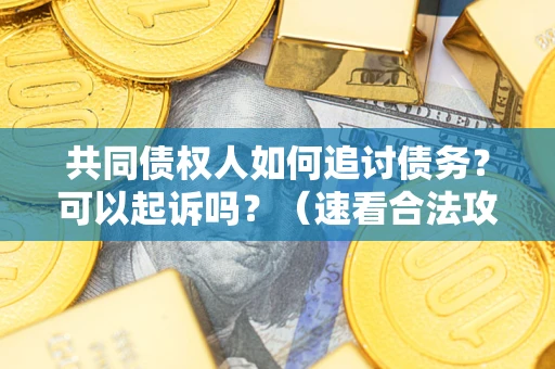 武汉共同债权人如何追讨债务？可以起诉吗？（速看合法攻略）