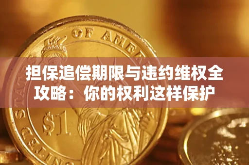 武汉担保追偿期限与违约维权全攻略：你的权利这样保护