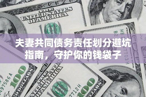 武汉夫妻共同债务责任划分避坑指南，守护你的钱袋子