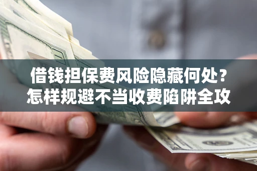 武汉借钱担保费风险隐藏何处？怎样规避不当收费陷阱全攻略！