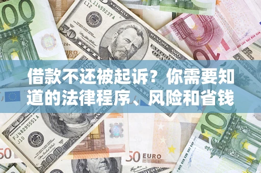 武汉借款不还被起诉？你需要知道的法律程序、风险和省钱技巧