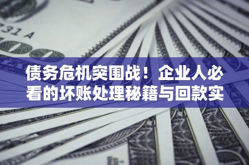 武汉债务危机突围战！企业人必看的坏账处理秘籍与回款实战指南